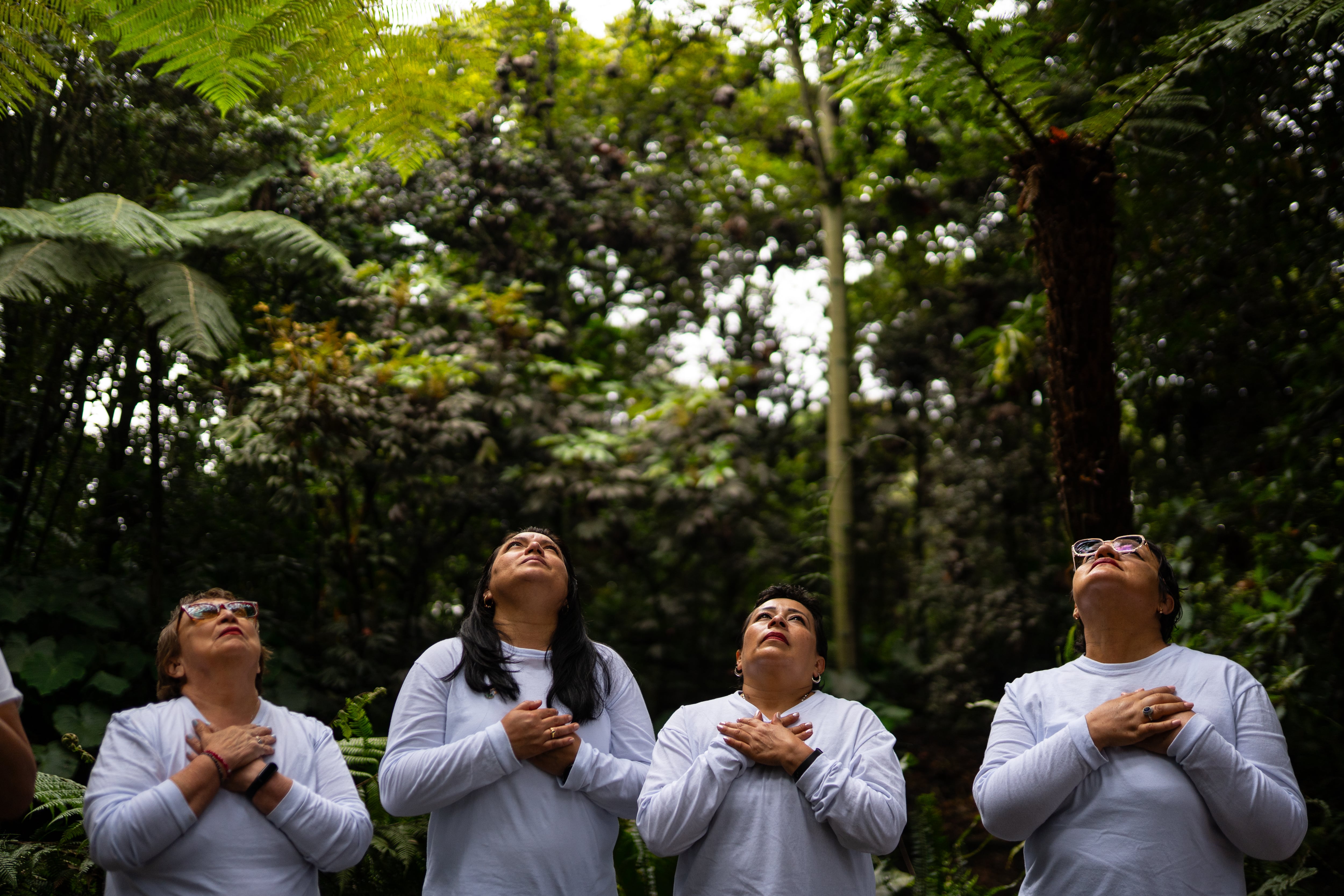 El Jardín Botánico apuesta a la terapia de naturaleza en medio del caos de Bogotá