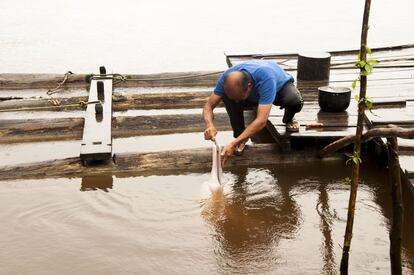 Miguel Ángel Coquinche es un adiestrador de delfines rosados. En los relatos de sabiduría de la cultura kichwa de la Amazonia ecuatoriana, Yaku Warmi significa mujer del agua. Para estos pueblos fluviales, los delfines rosados son las mujeres del agua. Estos relatos cuentan que los humanos que tengan contacto con las Yaku warmi obtendrán el yachay o sabiduría, que es lo que les permite conectarse con la naturaleza. 