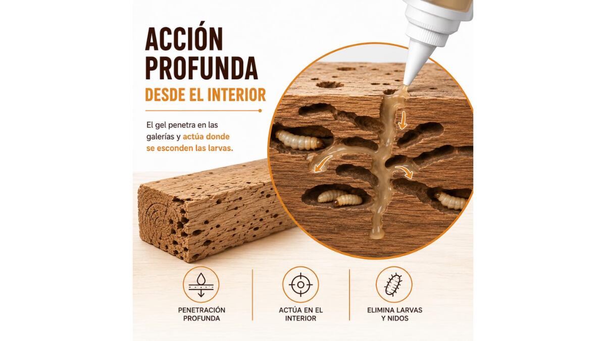 El insecticida penetra en la madera para eliminar las larvas.