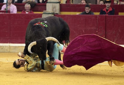 El pitón derecho del astado alcanza el rostro de Padilla justamente en el parche del ojo izquierdo que perdió precisamente en esta plaza de la Misericordia hace cinco años.