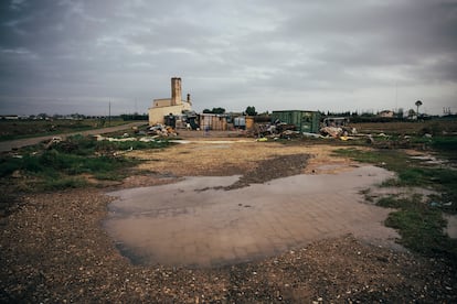 Zona en la que vivían en el arrozal de la Albufera de Valencia.