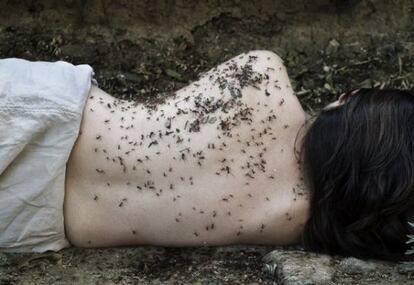 'Hormiguero', de Karina Juárez, es una de las imágenes incluidas en la muestra 'Develar y detonar', que reúne trabajos fotográficos del México actual. 