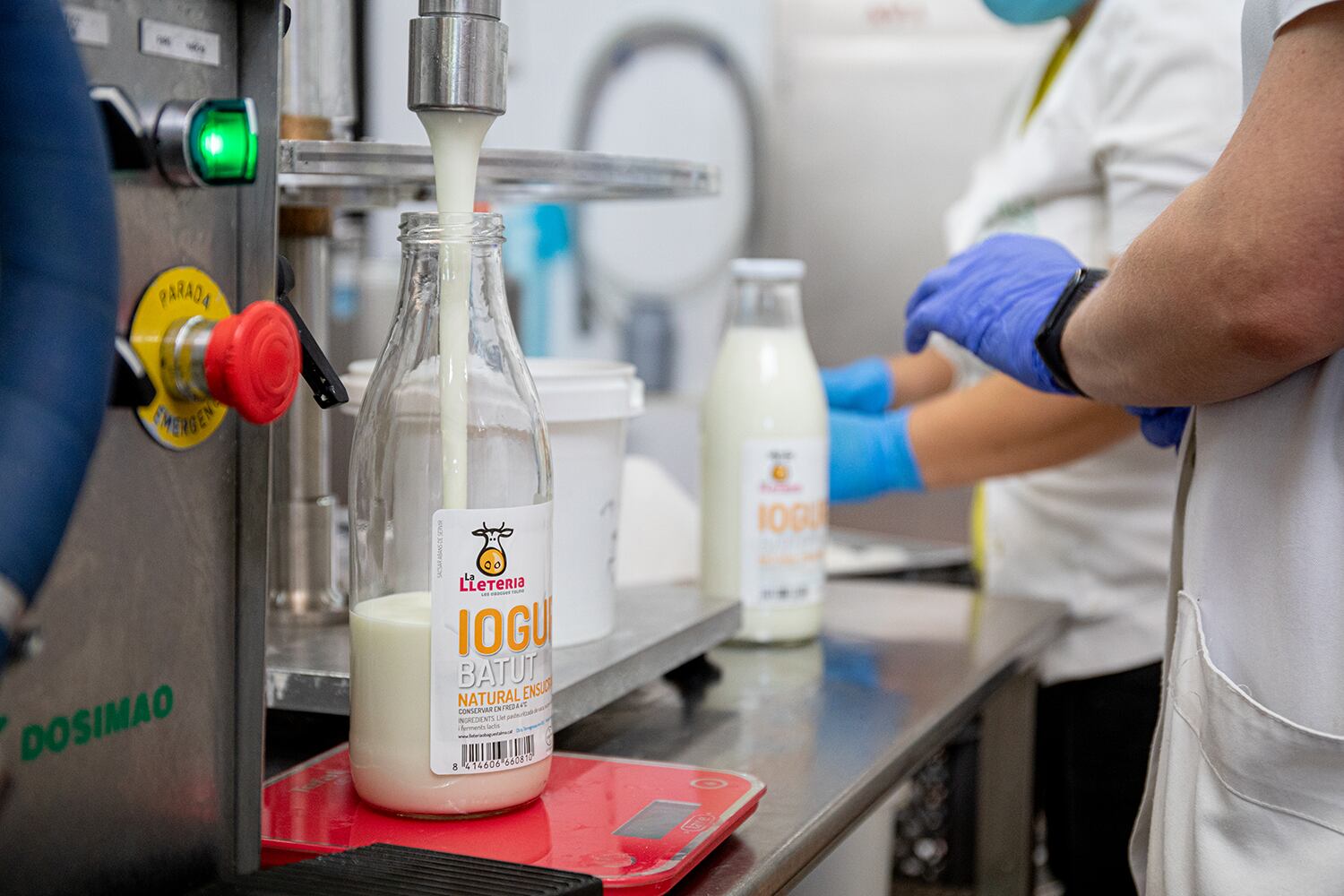 Un momento de la producción en la LLeteria Juneda