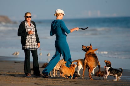 Así hemos podido ver a Charlize Theron (de espaldas), rodeada de perros, seguramente poniendo en práctica los trucos de Cesar Millán.