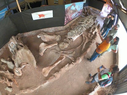 El hervíboro 'Futalognkosaurus Dukei' medía unos 34 metros de largo.