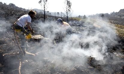 Dos voluntarios sofocan un conato de incendio en la sierra de Teleno.