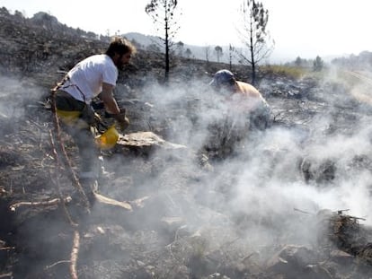 Dos voluntarios sofocan un conato de incendio en la sierra de Teleno.