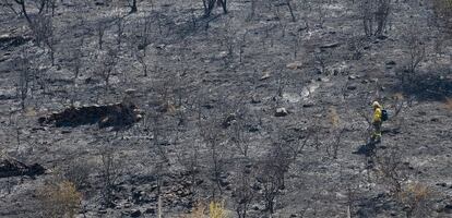 Un operario del Infoca, en la zona afectada por el incendio de este jueves en Casabermeja.