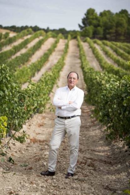 Carlos Moro, en una de sus parcelas en la Rioja Alta.