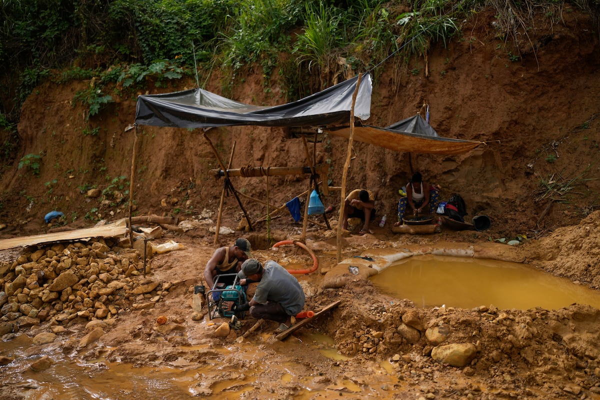 Venezuela identifies new mosquito capable of transmitting malaria in mining region