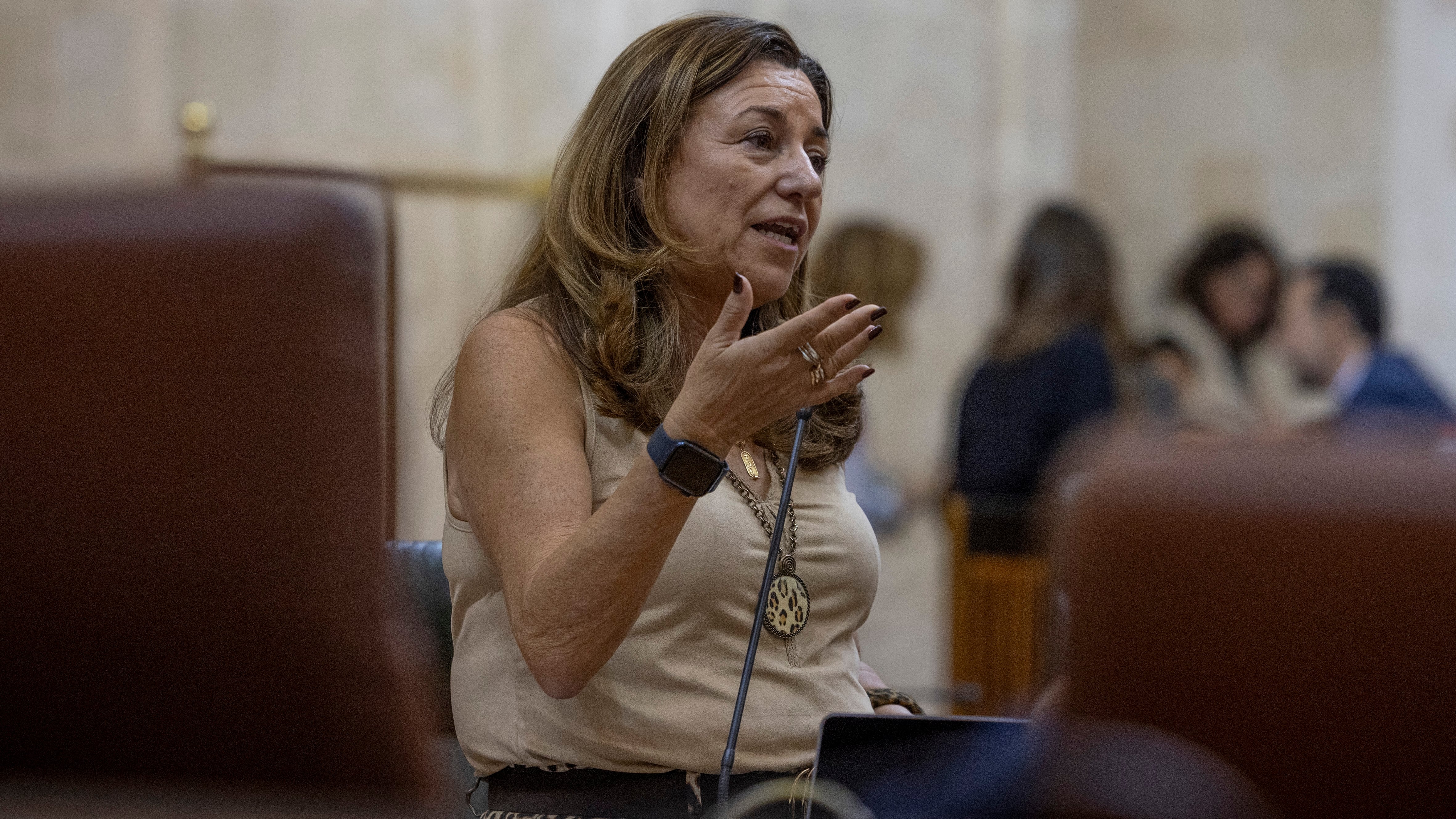 La consejera andaluza de Desarrollo Educativo y Formación Profesional, Carmen Castillo, el pasado octubre en el Parlamento.