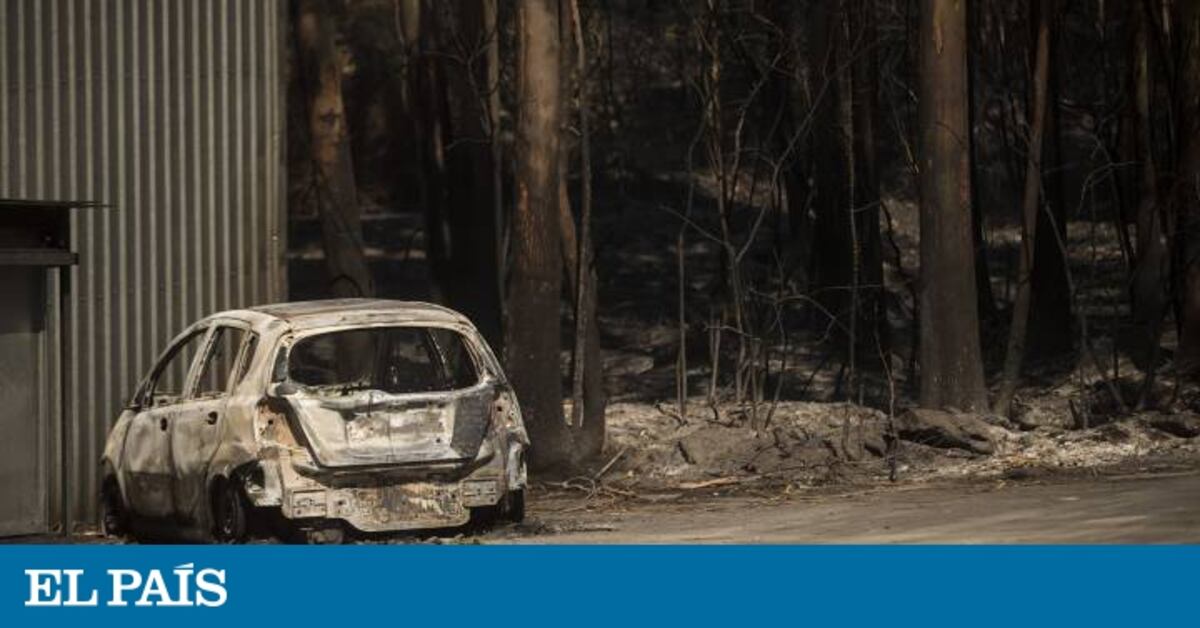 Varios incendios arrasan más de 500 hectáreas en Galicia | Noticias de ...