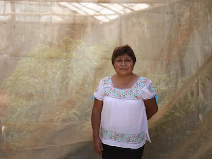 Leydy Pech en su casa en la zona maya de México.