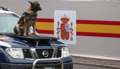 Un perro policía sobre un vehículo de la Policía Nacional durante el desfile de las Fuerzas Armadas.