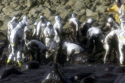 Voluntarios recogen chapapote en los alrededores del cabo Touriñán (A Coruña) en diciembre de 2002.