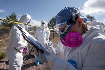 Peritos del Servicio Médico Forenes (SEMEFO) trabajan en un cementerio del municipio de Galeana, Nuevo León.