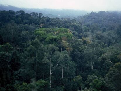 Parte de la sierra de Mayombe, que se extiende por República Democrática del Congo, Gabón y Angola.