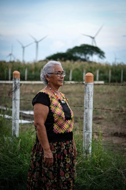 Guadalupe Ramírez, llamada por sus vecinos 'Ná Lupita', es una mujer indígena zapoteca de 70 años. Con la llegada de los parques eólicos a su comunidad Unión Hidalgo de Oaxaca, en México, se convirtió en activista. Hace una década, cuando tenía 60 años, comenzó un proceso autodidacta para aprender sobre energía eólica, derecho internacional, derecho agrario y obligaciones del Estado con las comunidades indígenas y así poder defender el territorio.