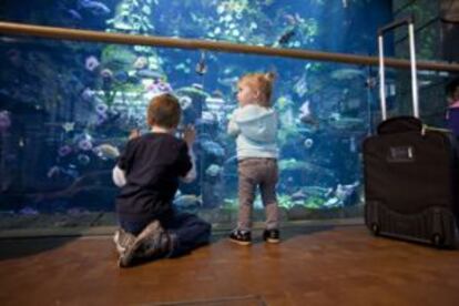 Niños en el gran acuario del aeropuerto de Vancouver (Canadá).