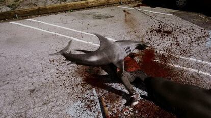 Imagen de la película 'Sharknado'.