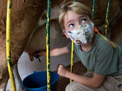 Salvador Mengual, de siete años, ordeña una vaca durante su visita a la granja El Palomar en Chapinería.