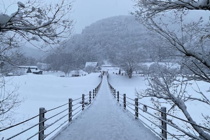El puente colgante de Ogimachi, que se extiende 107 metros sobre el río Shōgawa.