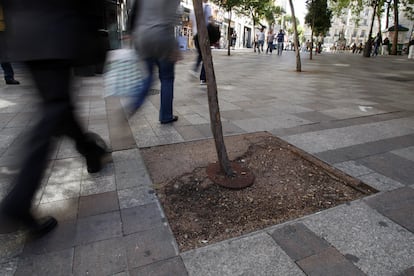 Los árboles han sucumbido en la calle Tudescos a las obras y a los golpes de los vehículos.