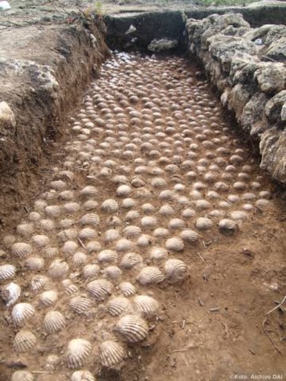 Conchas protectoras contra el mal colocadas frente a una de las viviendas del yacimiento de Castillejos de Alcorrín.