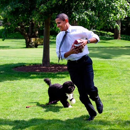 Así corretean Obama y Bo por los jardines de La Casa Blanca.