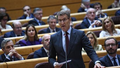 El líder del Partido Popular, Alberto Núñez Feijóo, interviene durante una sesión de control al Gobierno en el Senado, el pasado 21 de febrero de 2023, en Madrid.