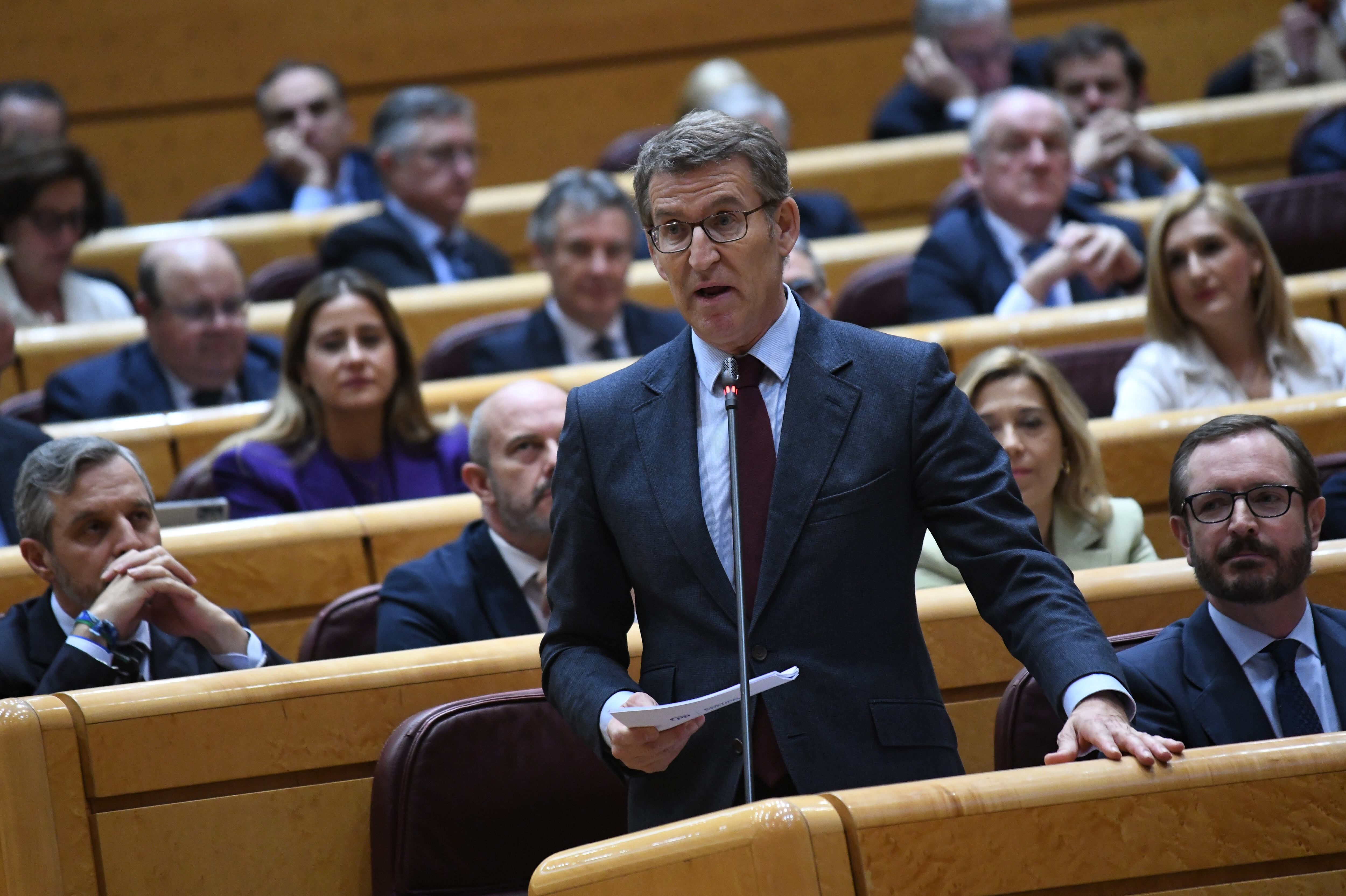 Feijóo intervenía durante una sesión de control en el Senado, el 21 de febrero. 