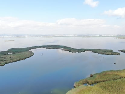 Imagen, a vista de dron, de L'Albufera de Valencia.