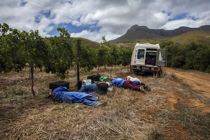 Los temporeros solo tienen una hora de descanso al día. Usan ese tiempo para comper, pero sobre todo para echar una siesta. Parte del grupo está fuera, otros se quedan en la camioneta.