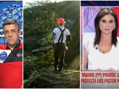 Los programas 'Pasapalabra', 'Leñadores' y 'Todo es mentira'.