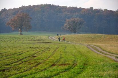 El Bosque de Viena cubre una superficie de 1.350 kilómetros cuadrados.