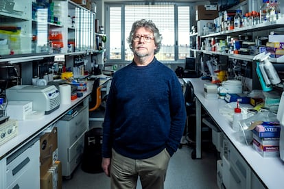 Francisco Javier Moreno Nuncio, en un laboratorio del Centro Nacional de Microbiología del Instituto de Salud Carlos III