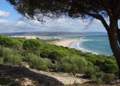 Parque natural de la Breña y las Marismas de Barbate, en su límite con el municipio.