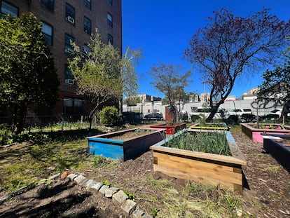 Camas de cultivo del santuario urbano H.earth, en el Bronx, Nueva York. 