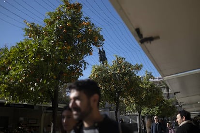 Naranjos en el centro de Sevilla.