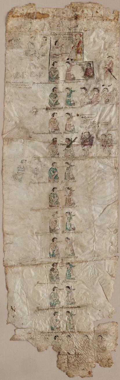 La colección de manuscritos de la Hispanic Society contiene docenas de obras relacionadas con las civilizaciones y lenguas indígenas del Nuevo Mundo; la más importante es el zapoteca Árbol genealógico de Macuilxochitl. Considerado el manuscrito pictórico zapoteca más antiguo que se conserva de tan grandes dimensiones, retrata parejas de gobernantes consecutivos de San Mateo Macuilxochitl, desde el siglo XIII hasta una generación después de la Conquista. En sentido vertical, de abajo arriba, presenta una genealogía nuclear de doce parejas de gobernantes indígenas en una columna, con las mujeres a la izquierda y los hombres a la derecha. Todos ellos se muestran sentados en bancos cubiertos de piel de jaguar. Ellos visten taparrabos y capas, y ellas portan el tradicional huipil, un manto largo que sigue usándose hoy en esta zona del valle de Oaxaca, al sur de México.