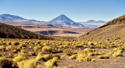 Vista del desierto de Atacama, con el volcán Licancabur al fondo.