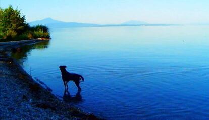 Fotograma de &#039;Adi&oacute;s al lenguaje&#039; de Jean-Luc Godard. 