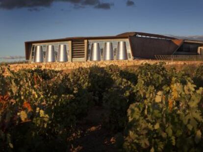 En la bodega de Foster