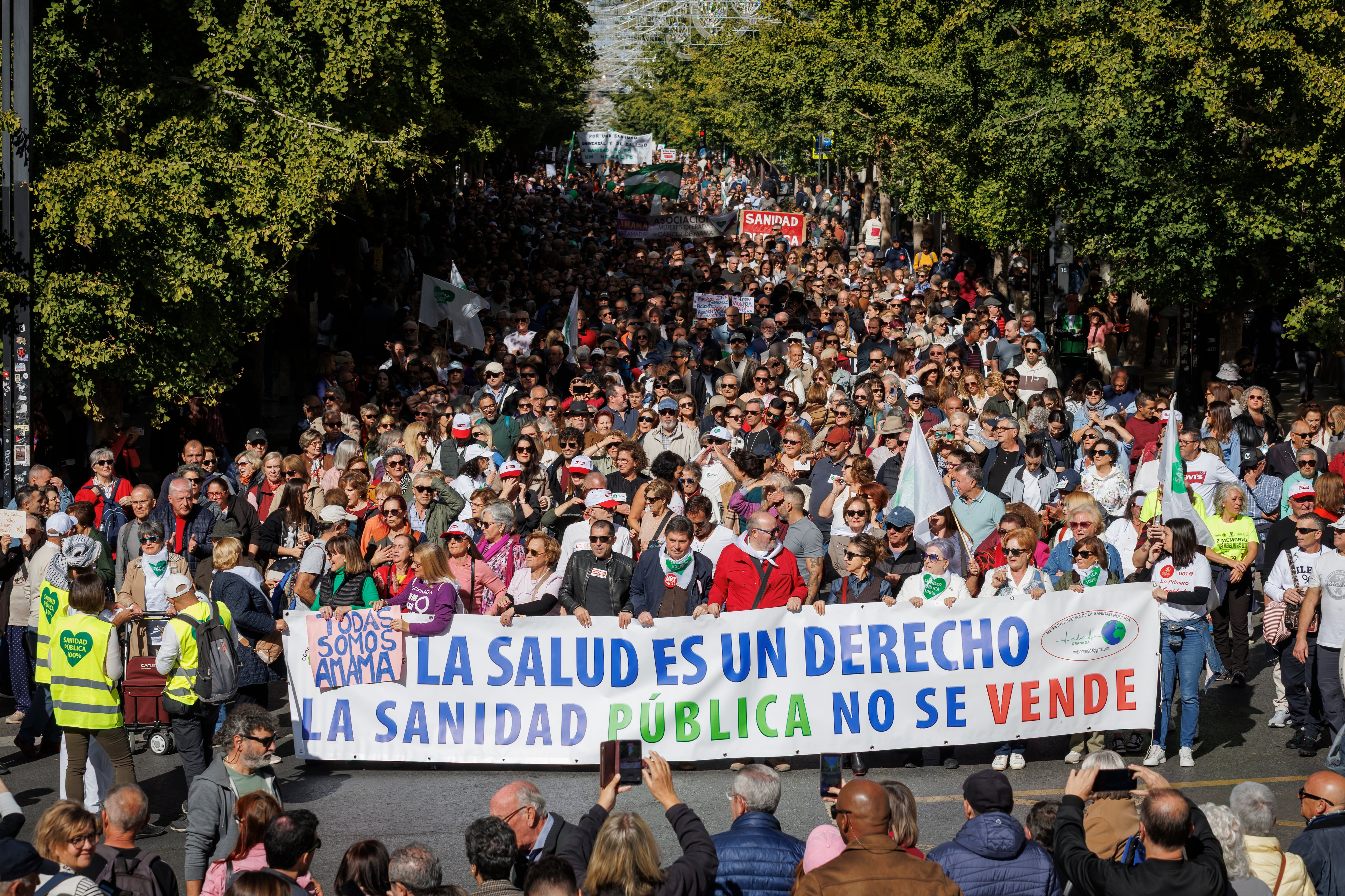 Manifestación en defensa de la Sanidad Pública en Andalucía, este domingo por el centro de Granada.