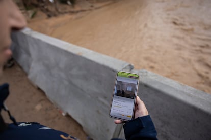 Amparo Rodrguez, vecina de Paiporta, consultaba el jueves las viviendas en alquiler en su municipio en un portal inmobiliario.