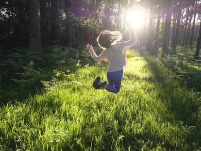 Pedagogía verde: aprender y crecer en el amor por la naturaleza