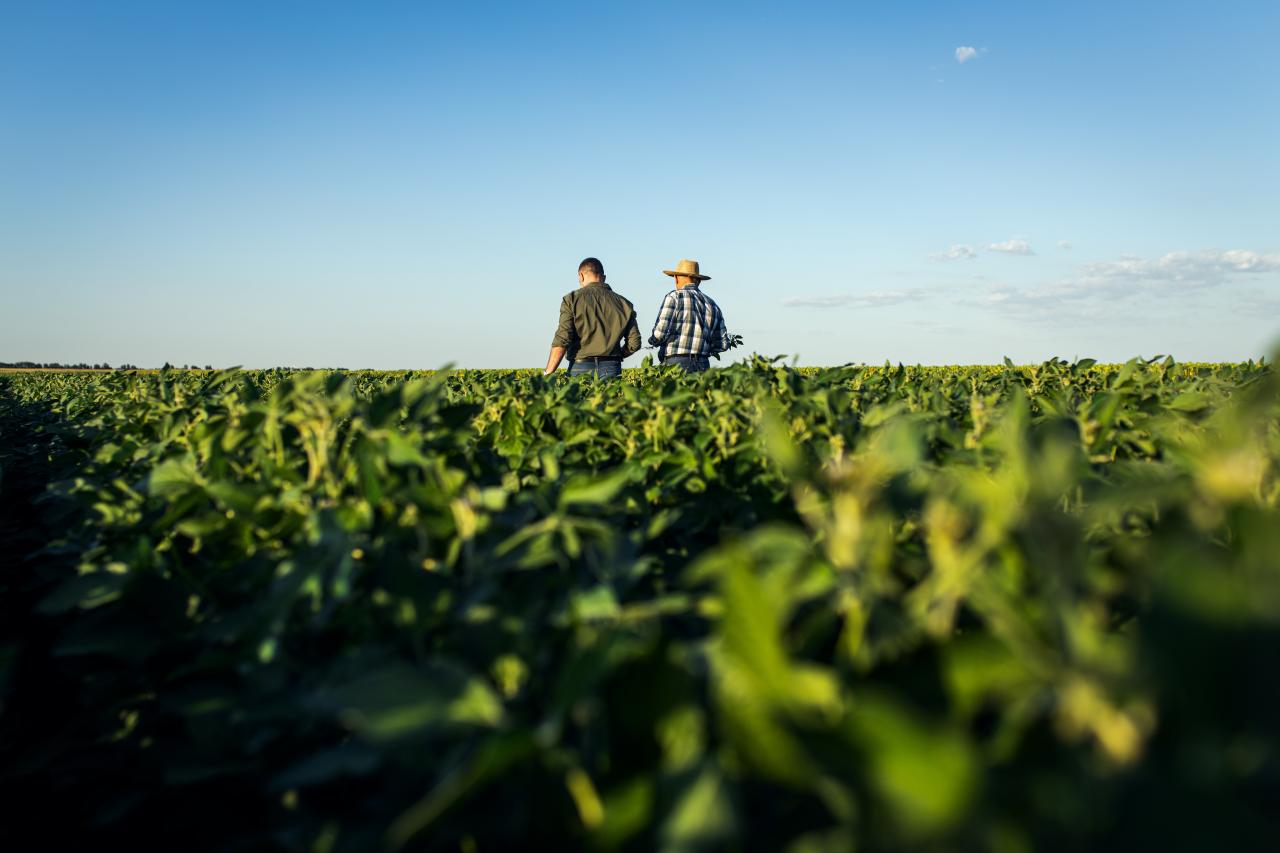 Nuevo servicio de asesoría ESG para ayudar a las empresas españolas