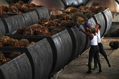 Trabajadores en una planta de aceite de palma en Malingping, Indonesia.