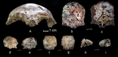 Los fragmentos de cr&aacute;neo encontrados en Laos tienen unos 63.000 a&ntilde;os.
 
 