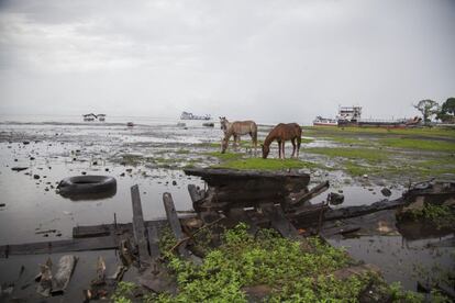 Basura y el esqueleto de una barcaza que la bajada del nivel del agua ha dejado cerca del muelle de Moyogalpa. Ometepe.